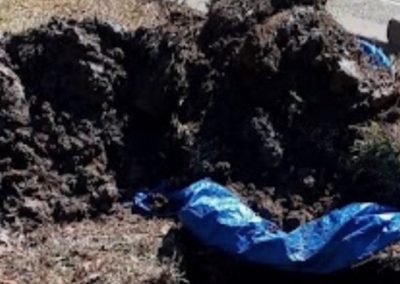 Trusted Septic Tank Treatment in Pass Christian, MS